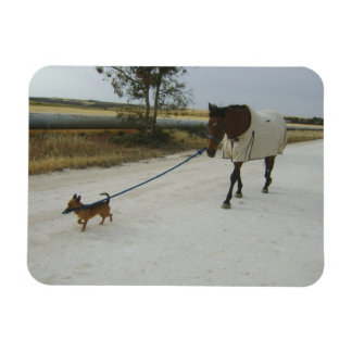 Imán Encabezado para el hogar