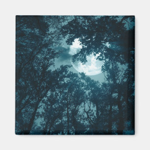 Imán Encantador bosque nocturno con luna llena