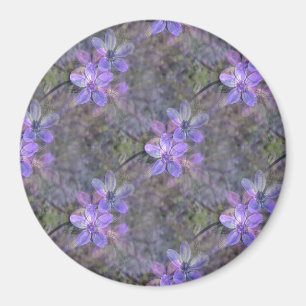 Imán Encantador en primavera...