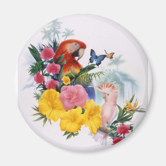 Imán Encanto tropical