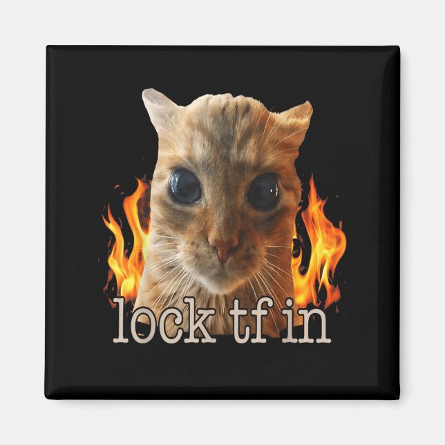 Imán Encerrar tf en gato (Frente)