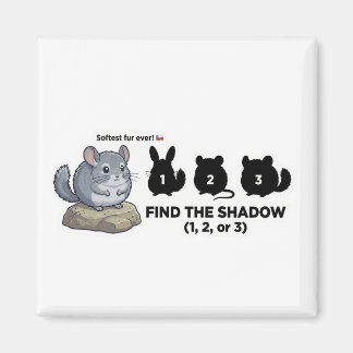 Imán Encuentra la sombra del chinchilla Animal World Qu