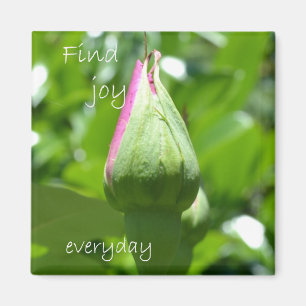 Imán Encuentre la alegría diaria