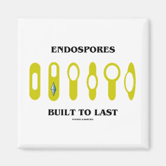 Imán Endosporas Construidas Para Durar (Actitud Bacteri