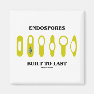 Imán Endospores construyó al último (la actitud