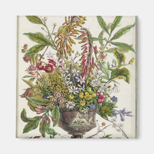 Imán Enero, de "Doce meses de flores" (Frente)