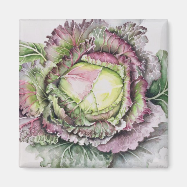 Imán Enero King Cabbage (Frente)