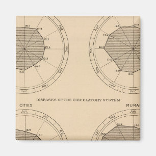 Imán Enfermedades mortales sistema nervioso y circulato