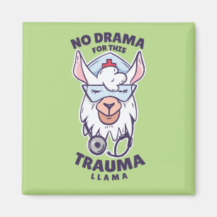Imán Enfermera ama a la llama