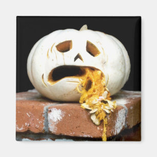 Imán enfermo de la calabaza - "Barfy "