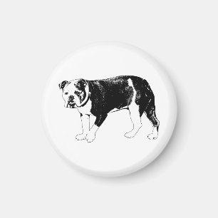 Imán Enfoque Canino, Precisión Vectorial