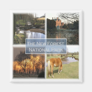 Imán ENG041 EL NUEVO PARQUE NACIONAL FORET Inglaterra,