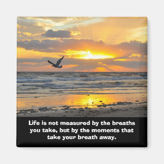 Imán Engagement Sunrise Magnet Daytona Beach, FL