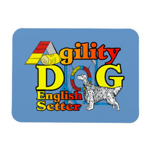 Imán English Setter Agility