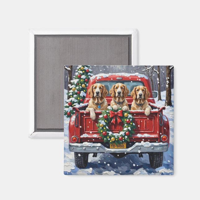 Imán English Setter Christmas Red Truck Holiday (Anverso/Reverso)