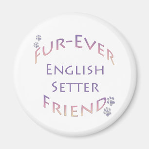 Imán English Setter Furever