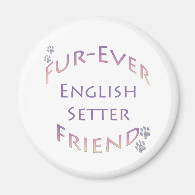 Imán English Setter Furever (Frente)