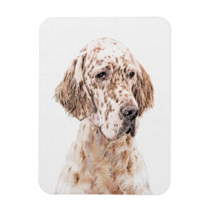 Imán English Setter Orange Belton Painting Dog Art