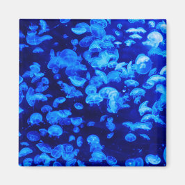 Imán Enjambre de medusas