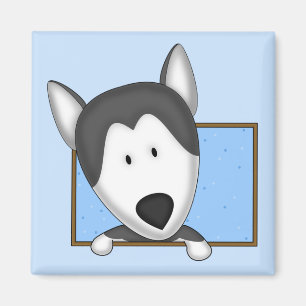 Imán enmarcado del husky siberiano del dibujo