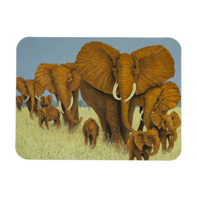 Imán Enorme pero preocupado (Horizontal)