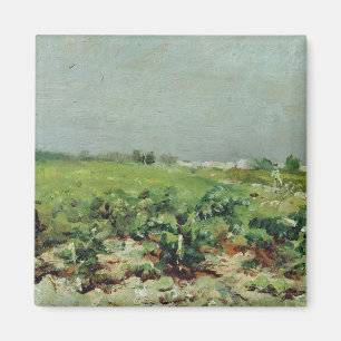 Imán Enrique de Toulouse-Lautrec el Celeyran, vista