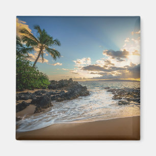 Imán Ensenada de la playa el   Makena de Makena