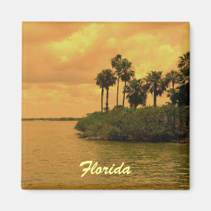 Imán Ensueño de la palmera de la Florida