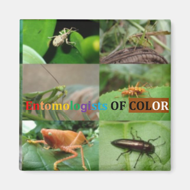 Imán Entomólogos de imanes de color (Frente)