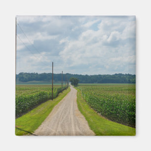 Imán Entre campos de maíz