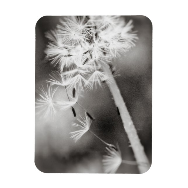 Imán Enviando deseos de salida (Vertical)