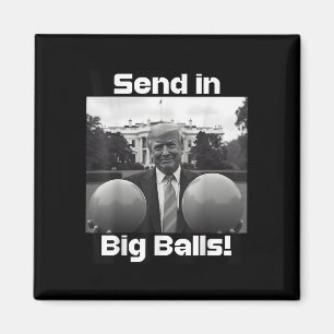 Imán Envíe En Grande, Presidente Trump Y Perro