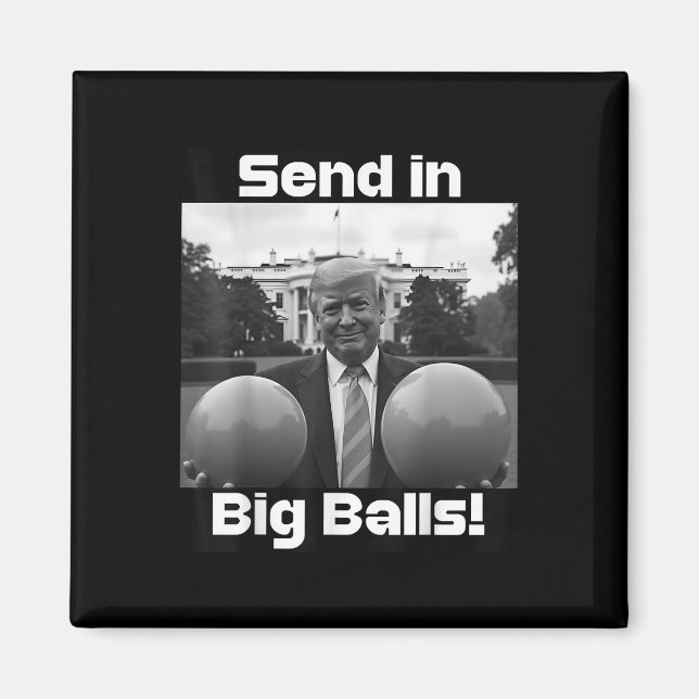 Imán Envíe En Grande, Presidente Trump Y Perro (Frente)