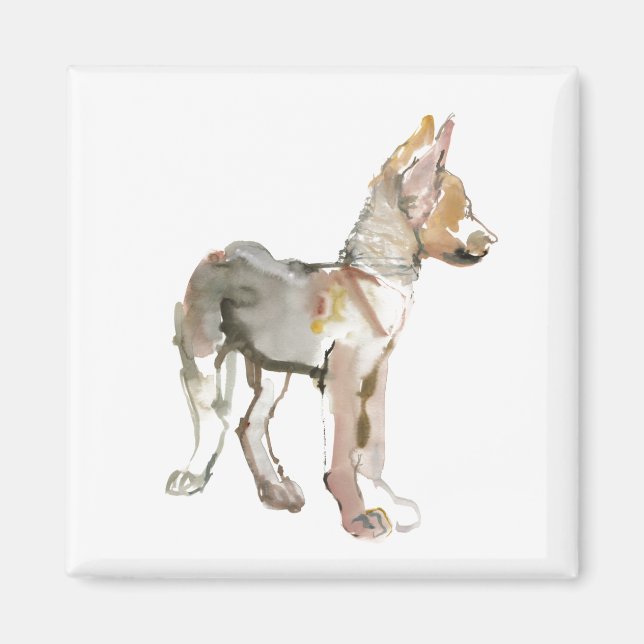 Imán Equipamiento (Frente)