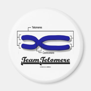 Imán Equipo Telomere (humor de la biología)
