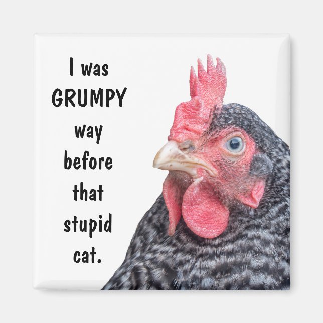 Imán Era un Gato GRUPO antes del Estúpido. (Frente)