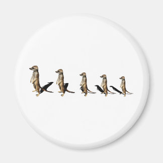 Imán Erdmännchen en línea