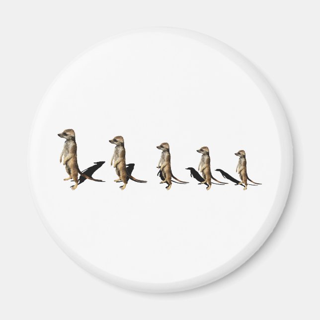 Imán Erdmännchen en línea (Frente)