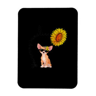 Imán Eres Mi Chihuahua Sunflower Chiahuahua
