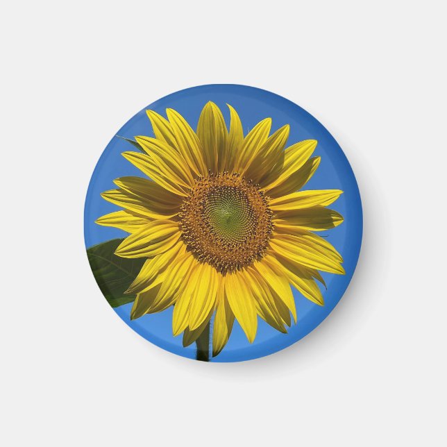 Imán Eres Mi Sol. (Frente)