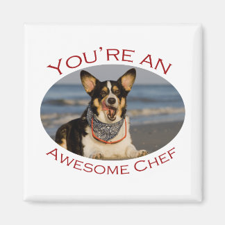 Imán Eres un chef asombroso