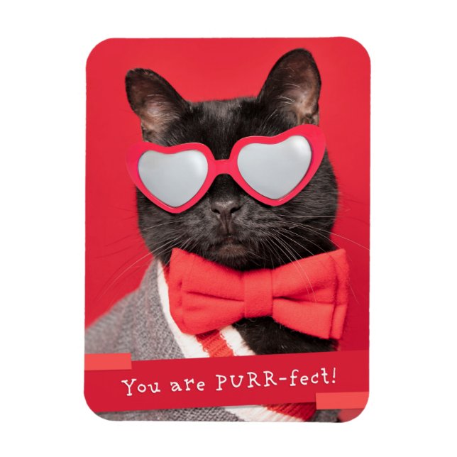 Imán Eres un gato perfecto para PURR (Vertical)