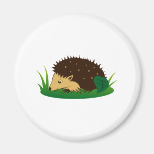 Imán Erizo hedgehog