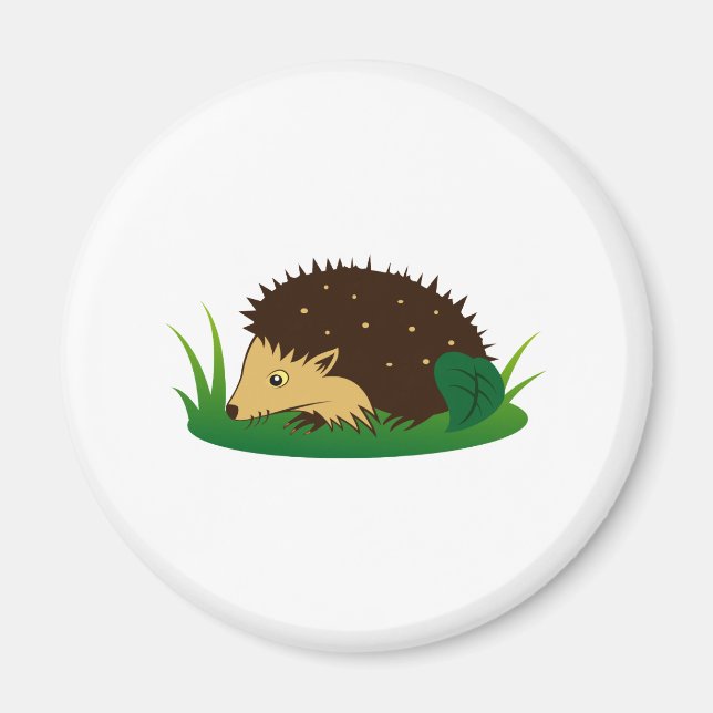 Imán Erizo hedgehog (Frente)