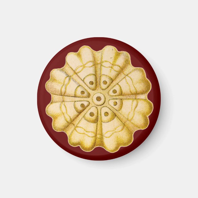 Imán Ernst Haeckel (Frente)