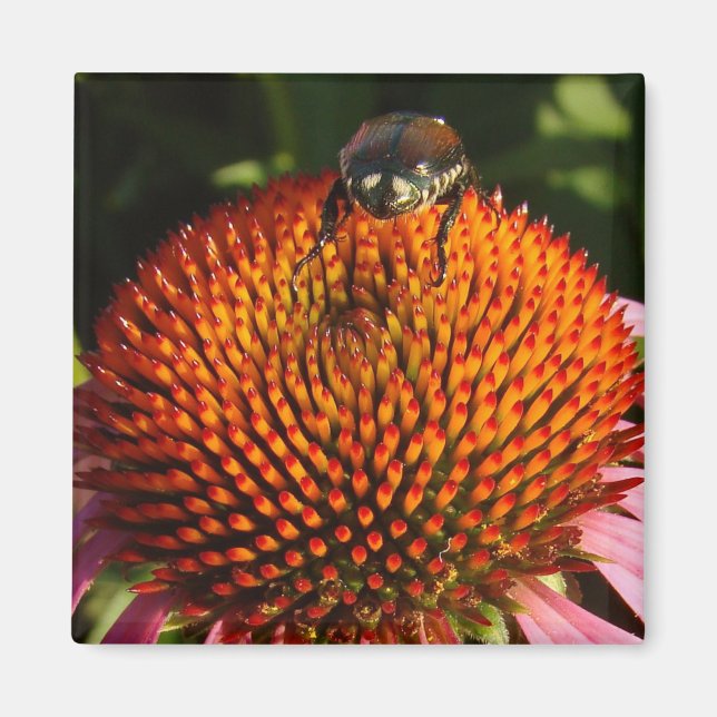 Imán Error en la flor (Frente)