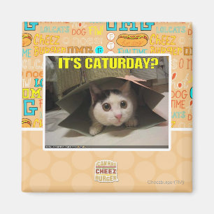 Imán ¿Es Caturday?