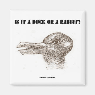 Imán ¿Es Un Pato O Un Conejo? (Ilusión óptica)