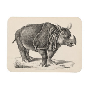 Imán Esbozo de Brodtmann Rhinoceros