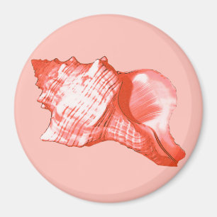 Imán Esbozo de concha - coral, cáscara rosa y blanco